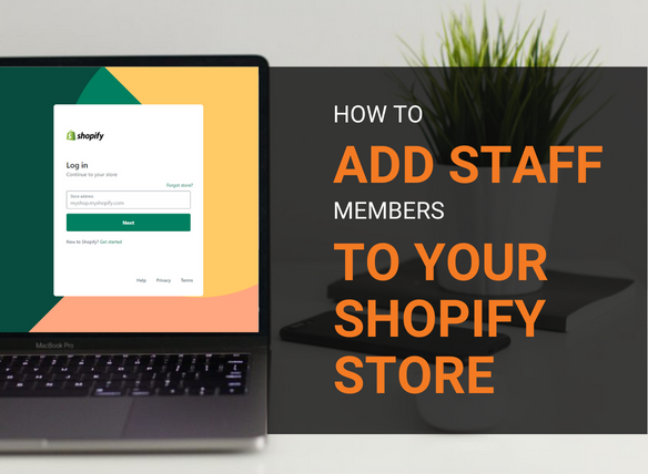 How to Add Staff Members To Your Shopify Store